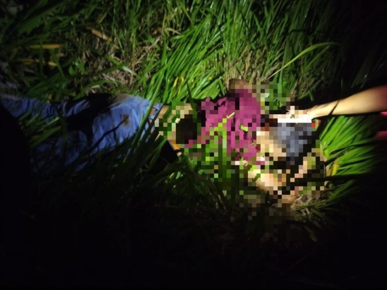 Tragédia na BR-364: jovem morre após bater em boi que estava solto na pista; veja detalhes