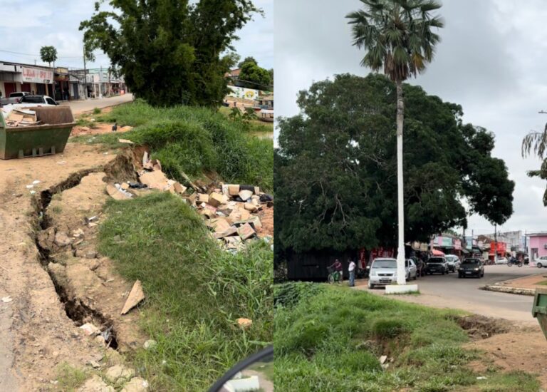 Erosão pode destruir carnaubeira, árvore histórica de Sena; rua central também está ameaçada
