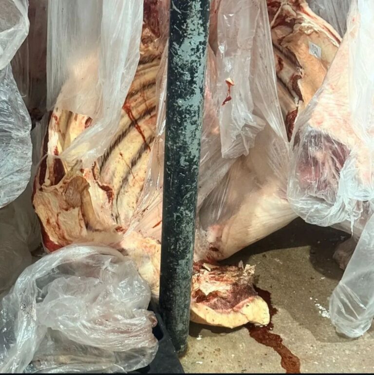 Carne estragada apreendida em operação seria usada na fabricação de linguiça, revela promotor