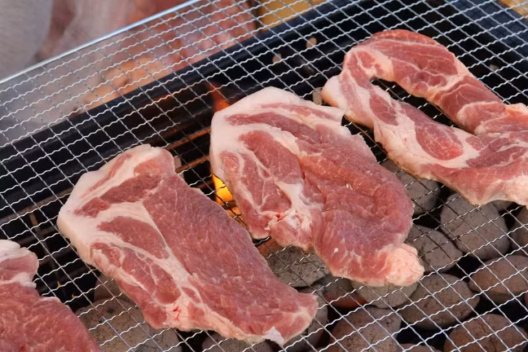 Brasil bate recorde de exportação de carne bovina em 2025