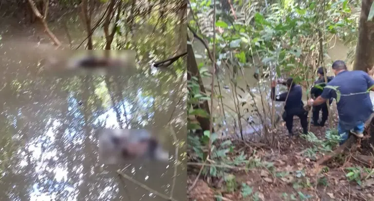 Corpos de amigos desaparecidos são encontrados em área de mata