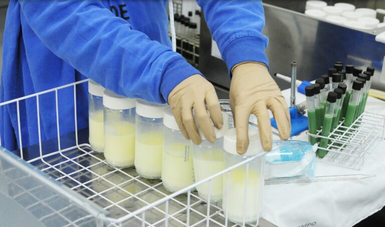 Doadoras de leite materno passam a ter isenção em taxas de concursos e vestibulares no Acre