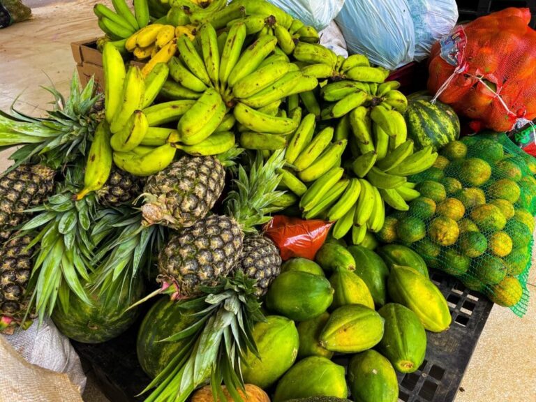 Agricultura prorroga prazo do PAA para entidades sociais AC