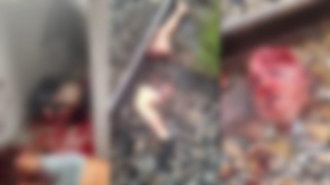 homem-e-preso-apos-esquartejar-vitima-e-tentar-esconder-em-linha-ferrea