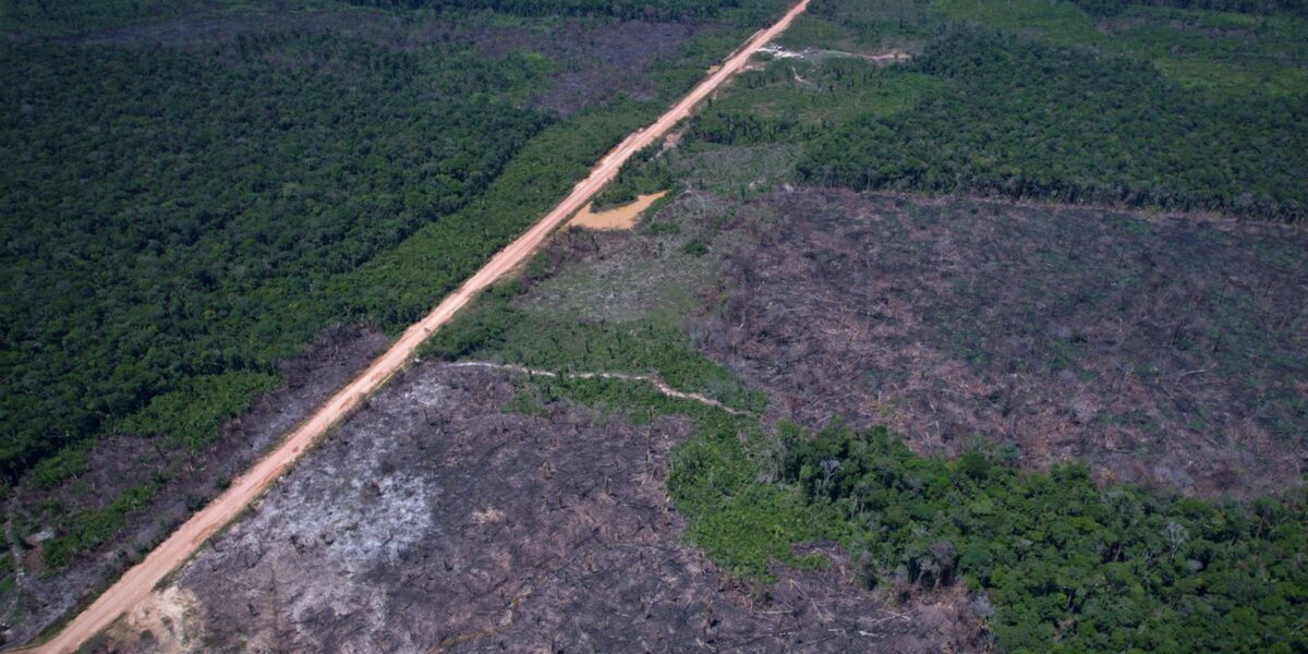 alertas-de-desmatamento-caem-35%-na-amazonia-e-6%-no-cerrado
