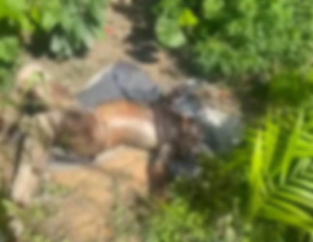 Corpo em estado de decomposição é encontrado em matagal