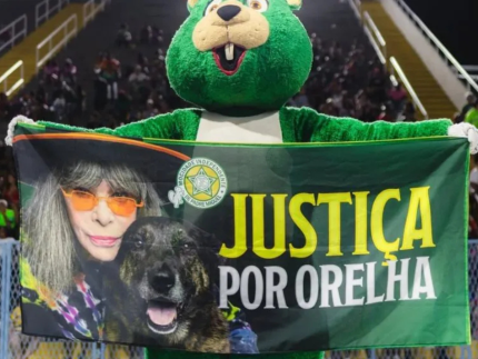 mocidade-homenageia-cao-orelha-em-desfile-com-enredo-sobre-rita-lee