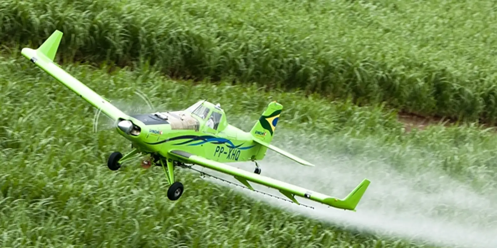 Agrotóxicos estão mais nocivos em todo o mundo, aponta estudo