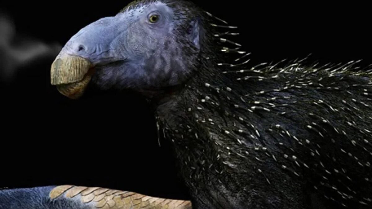 Descoberta na China detalha estrutura microscópica preservada por 125 milhões de anos.