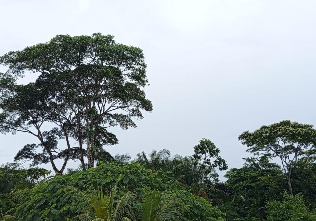 Domingo será de chuva a qualquer hora no Acre