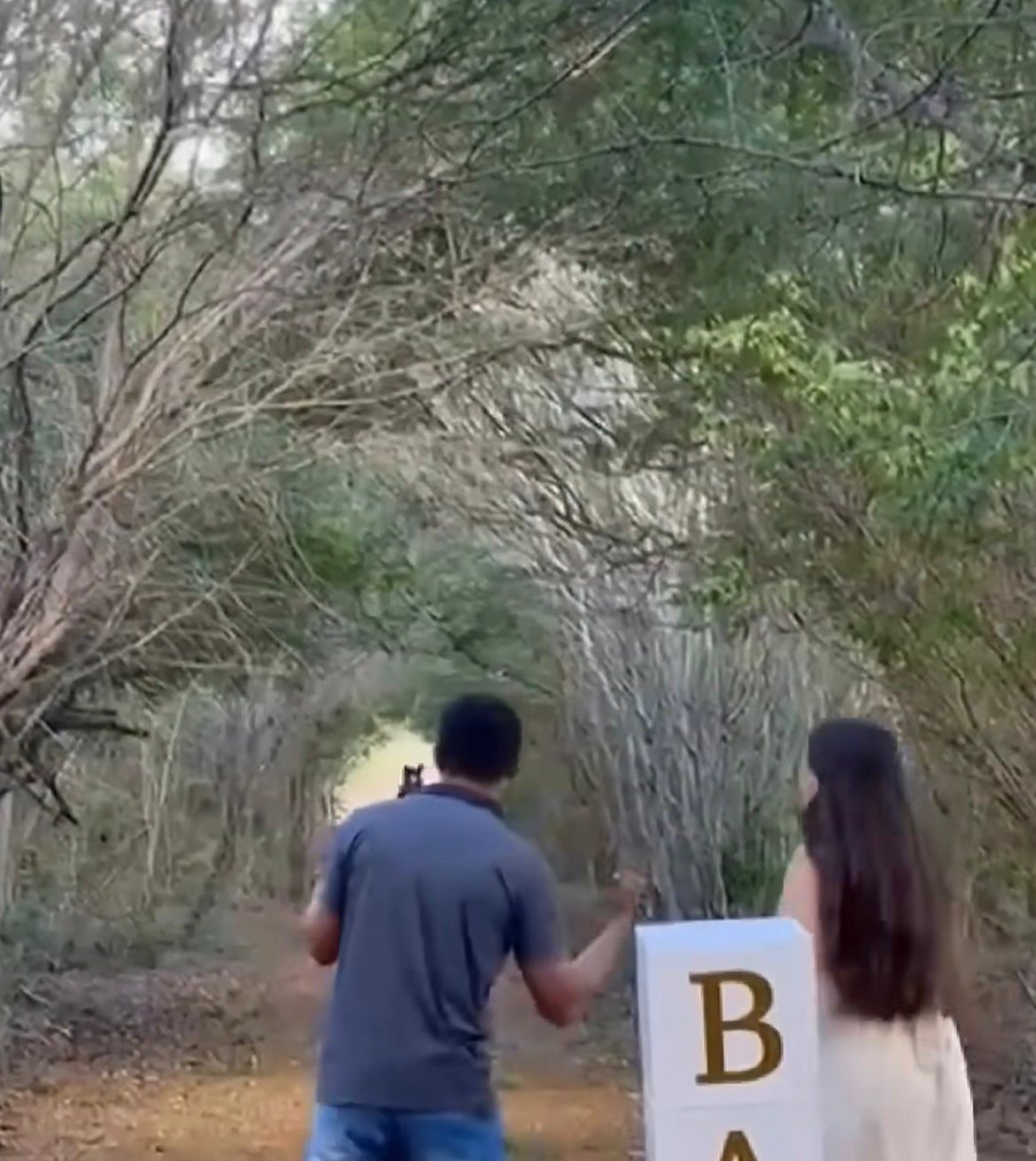 Vídeo de chá revelação com cavalo emociona a web e celebra cultura e simplicidade.