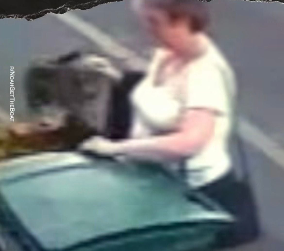 Mulher é multada após jogar gato em lixeira por diversão. Animal foi resgatado, passa bem e caso gerou revolta nas redes sociais.