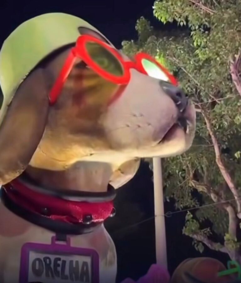 Escola de samba homenageia cão Orelha em desfile dedicado a Rita Lee na Sapucaí