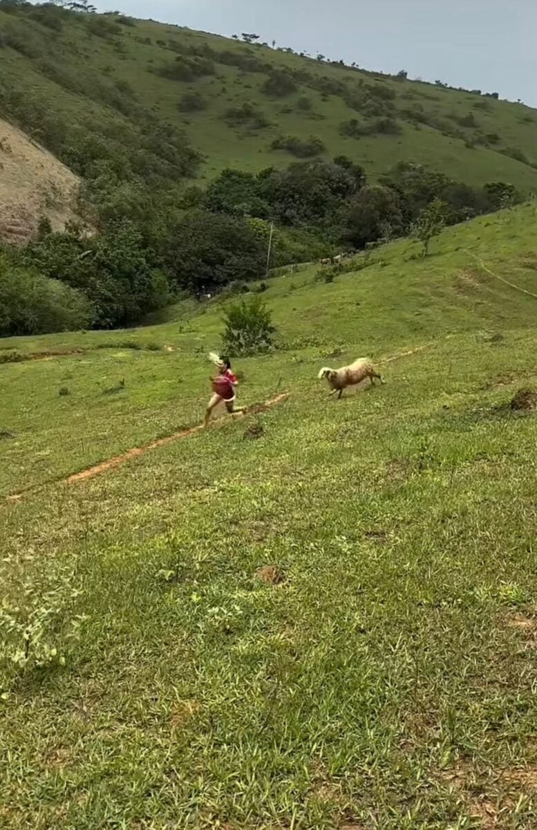 Um vídeo publicado no Instagram passou a circular com rapidez e acumular comentários após mostrar uma cena inusitada envolvendo um grupo de amigos e uma ovelha. Nas imagens, os jovens aparecem correndo em campo aberto enquanto o animal os persegue. Em determinados momentos, a ovelha tenta se aproximar para desferir cabeçadas, o que provoca gritos, risadas e uma corrida improvisada para escapar da investida. A situação, que inicialmente parece uma brincadeira comum, ganha tom de tensão leve quando o animal acelera e encurta a distância. Um dos amigos quase é alcançado antes de conseguir mudar de direção e se afastar. O vídeo rapidamente conquistou milhares de curtidas e comentários. Internautas reagiram com humor à cena, destacando a coragem — ou a falta dela — dos jovens diante da ovelha determinada. Sem informações sobre onde o registro foi feito, o episódio se tornou mais um exemplo de como momentos inesperados do cotidiano podem ganhar grande repercussão nas redes sociais.