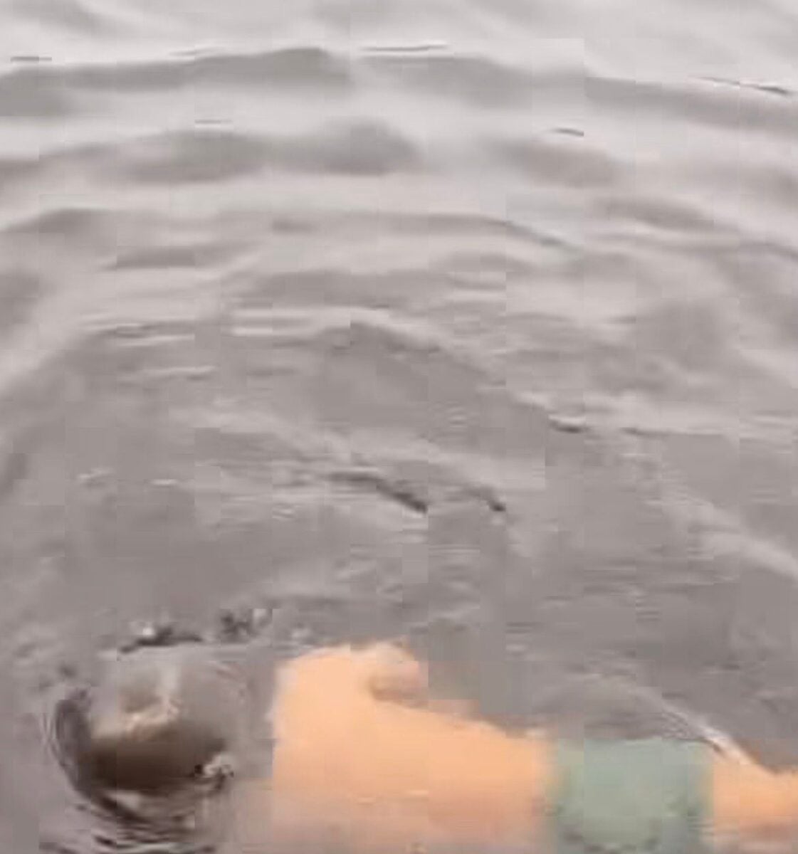 Vídeo mostra Levi, de 2 anos, nadando no Rio Urubu com habilidade e segurança. A cena viralizou e gerou milhares de comentários nas redes sociais.