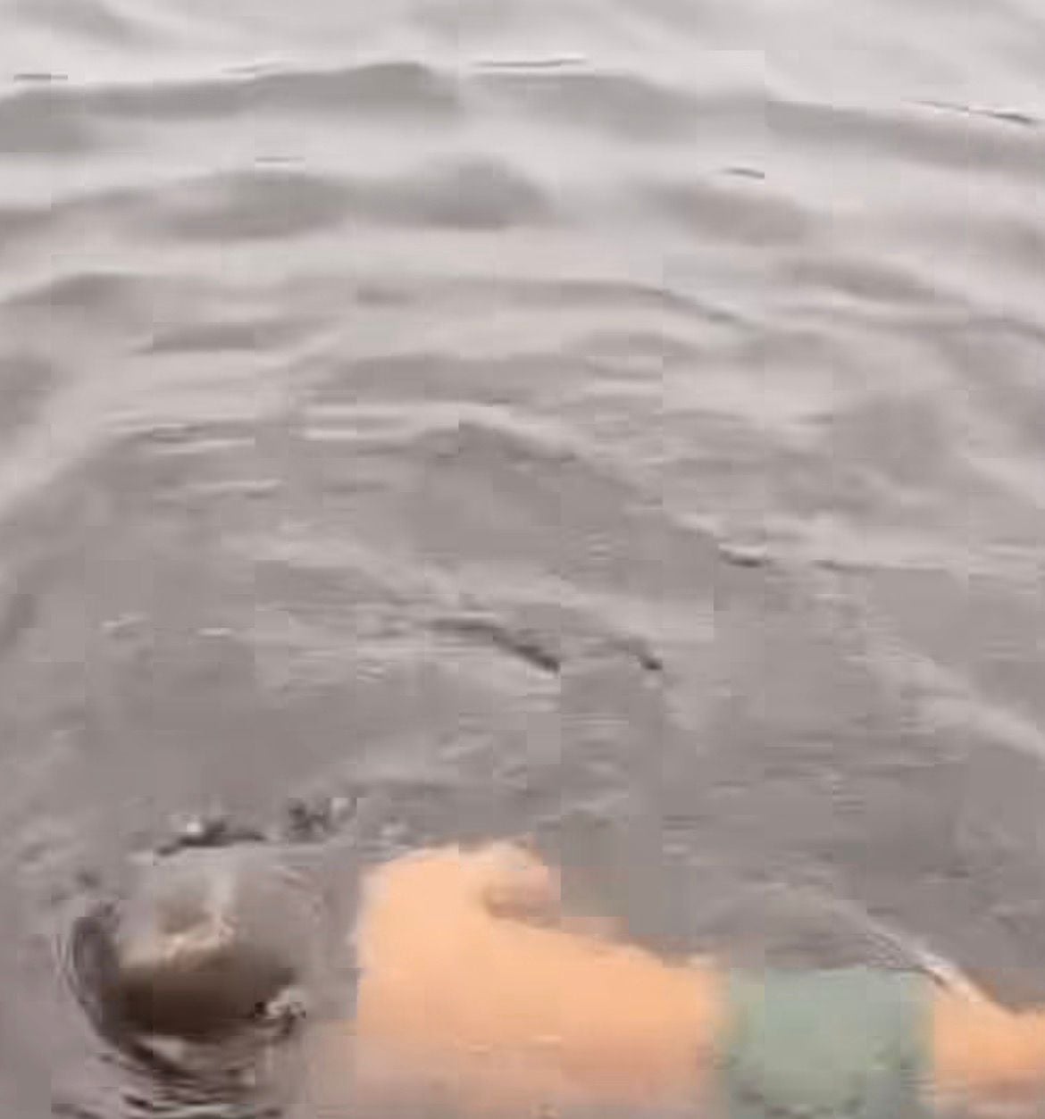 Vídeo mostra Levi, de 2 anos, nadando no Rio Urubu com habilidade e segurança. A cena viralizou e gerou milhares de comentários nas redes sociais.