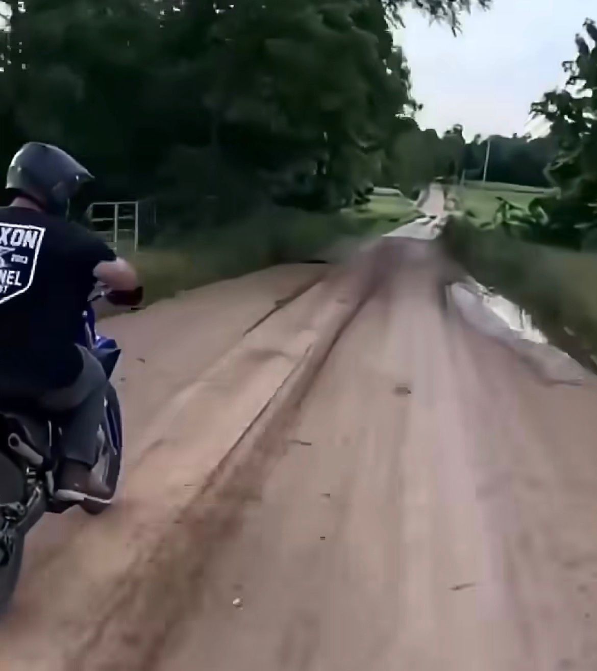 Travessia de animal silvestre em estrada rural termina em queda e reforça alerta sobre condução em alta velocidade.