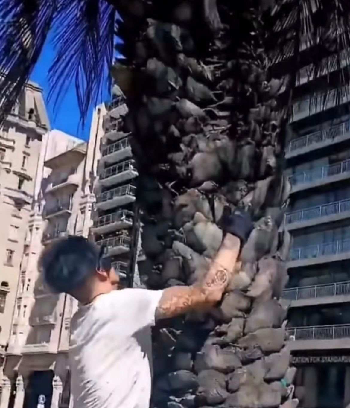 Jovens se reúnem em praça após convocação viral e encontro do movimento therian repercute nas redes sociais.