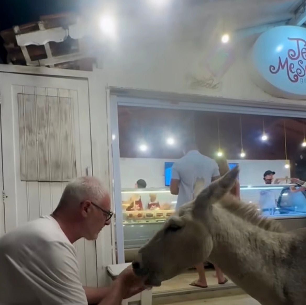 Jumento se aproxima de turista, ganha sorvete e cena divertida registrada em vila turística repercute nas redes sociais.