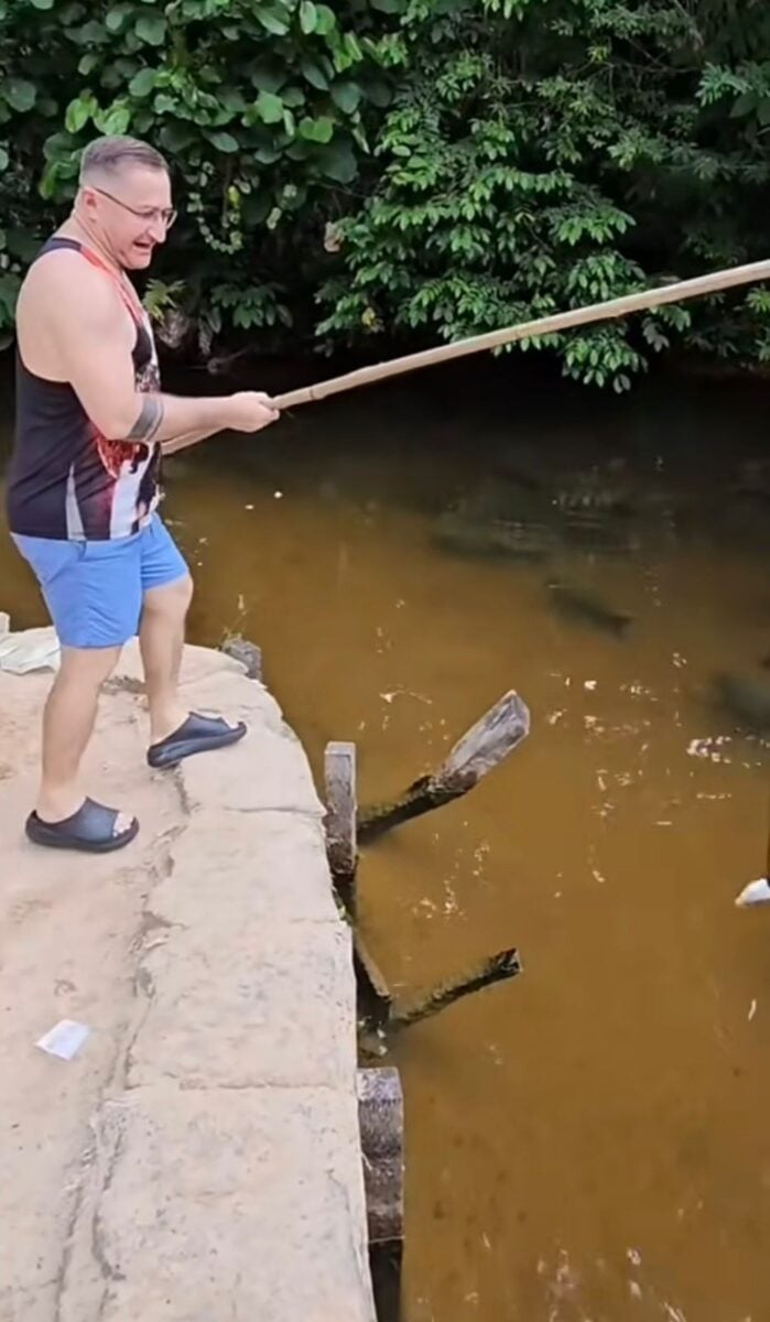 Homem provoca pirarucus com peixe preso a vara e registra momento em que animal abocanha isca com rapidez. Cena chama atenção nas redes.