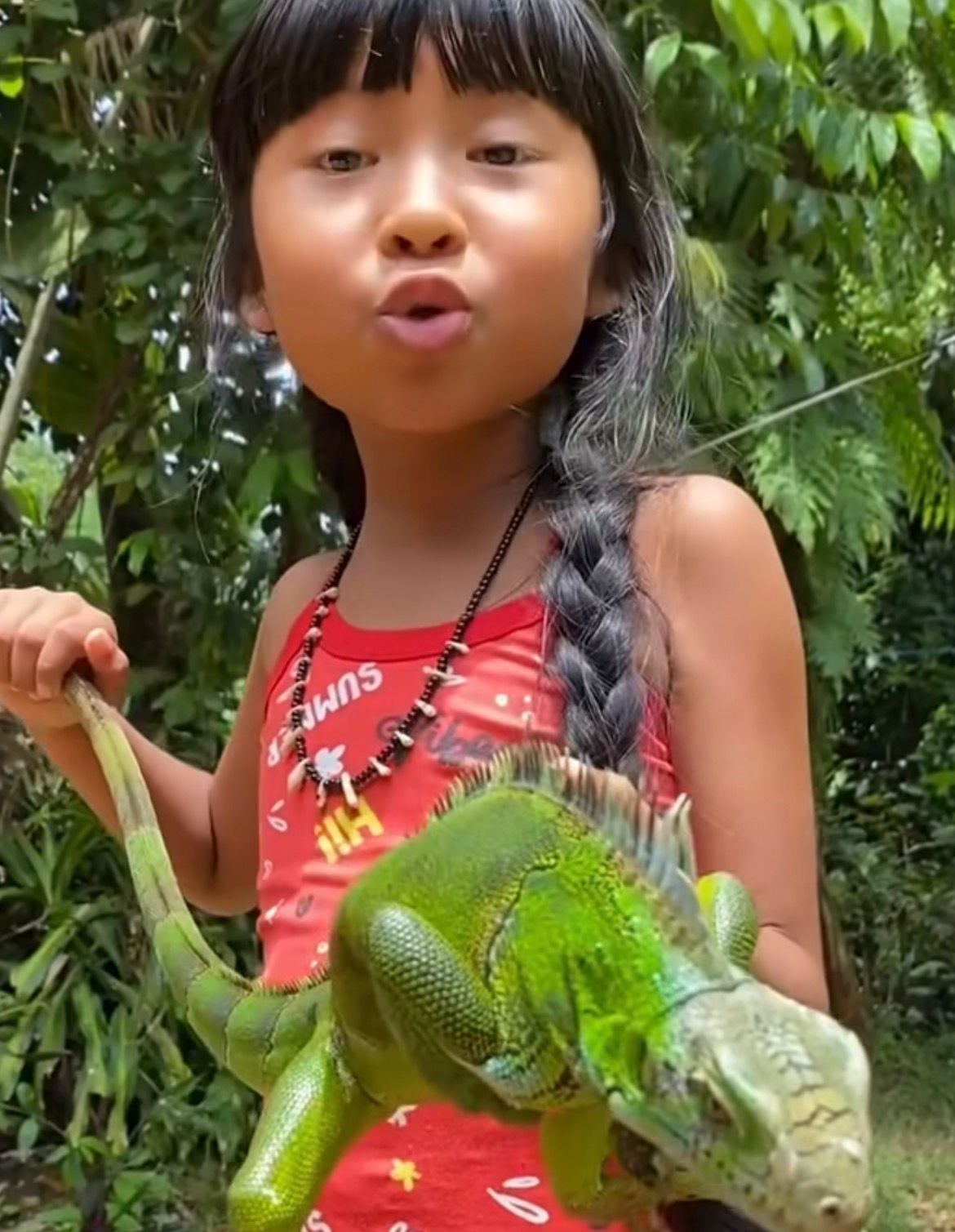 Criança indígena viraliza ao chamar iguana de “calamelão” e celebrar encontro com o réptil na Amazônia.