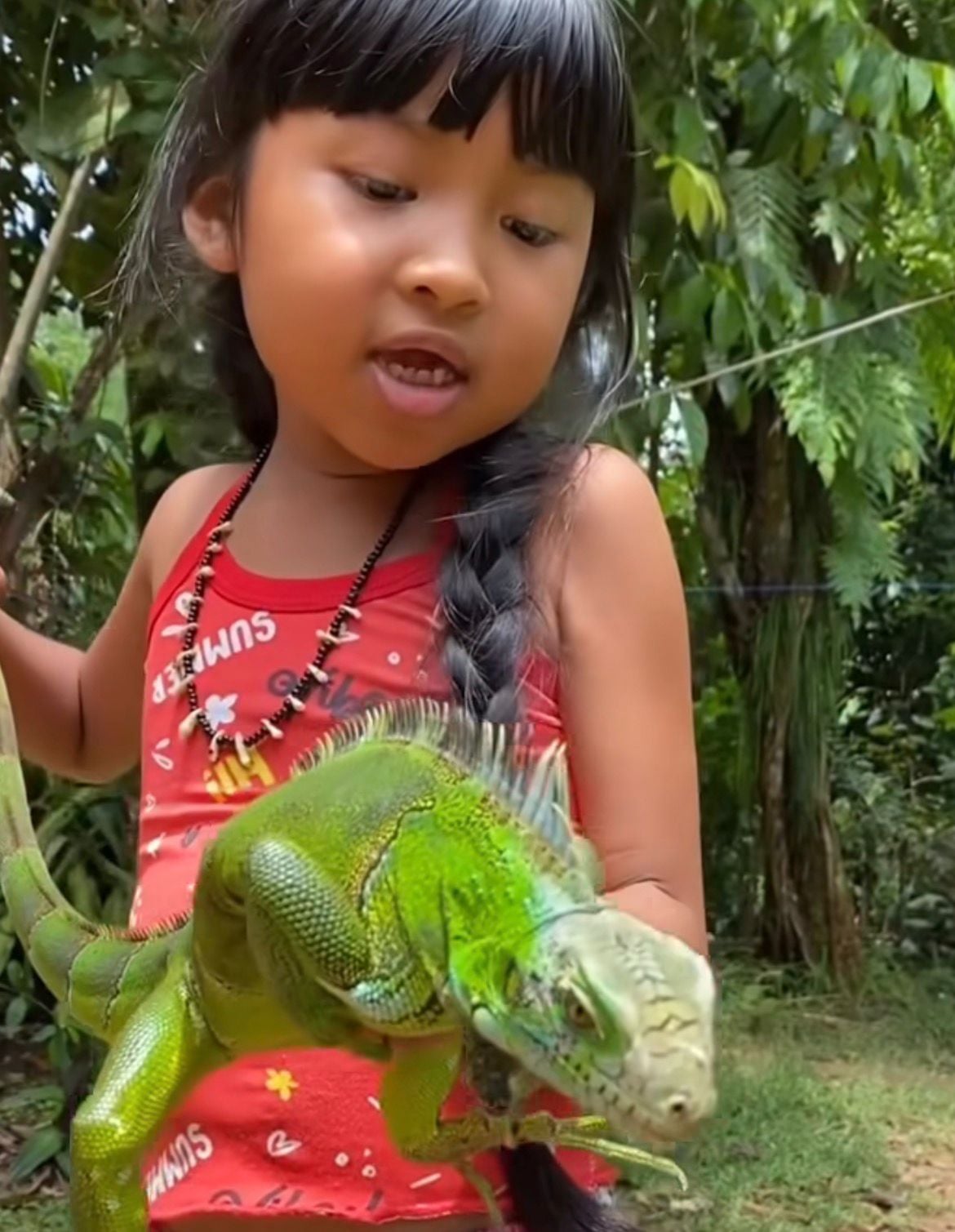 Criança indígena viraliza ao chamar iguana de “calamelão” e celebrar encontro com o réptil