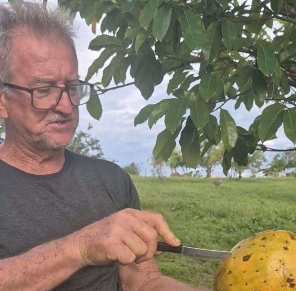 Além das maçãs, o agricultor também apresenta outras espécies pouco conhecidas no estado