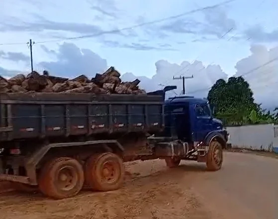 Imagens de suposto furto foram enviadas à reportagem do ContilNet. Foto: Reprodução