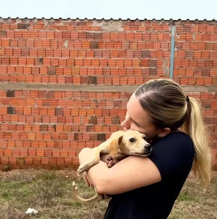 Cachorrinha filhote com deficiência é resgatada após ser abandonada