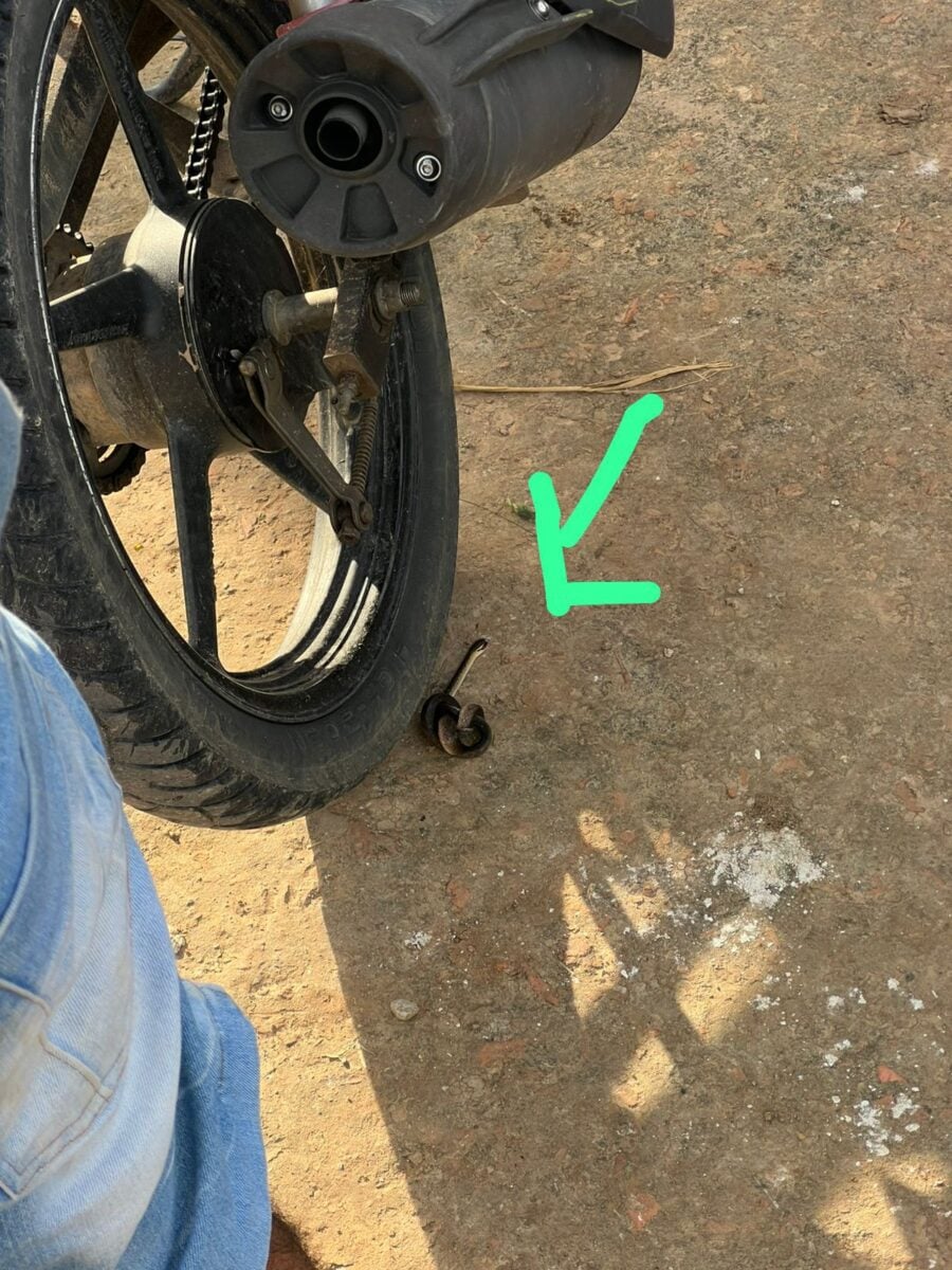 Cobra de pequeno porte, já sem vida, foi encontrada no bolso do homem durante abordagem da Polícia Militar/Foto: Reprodução