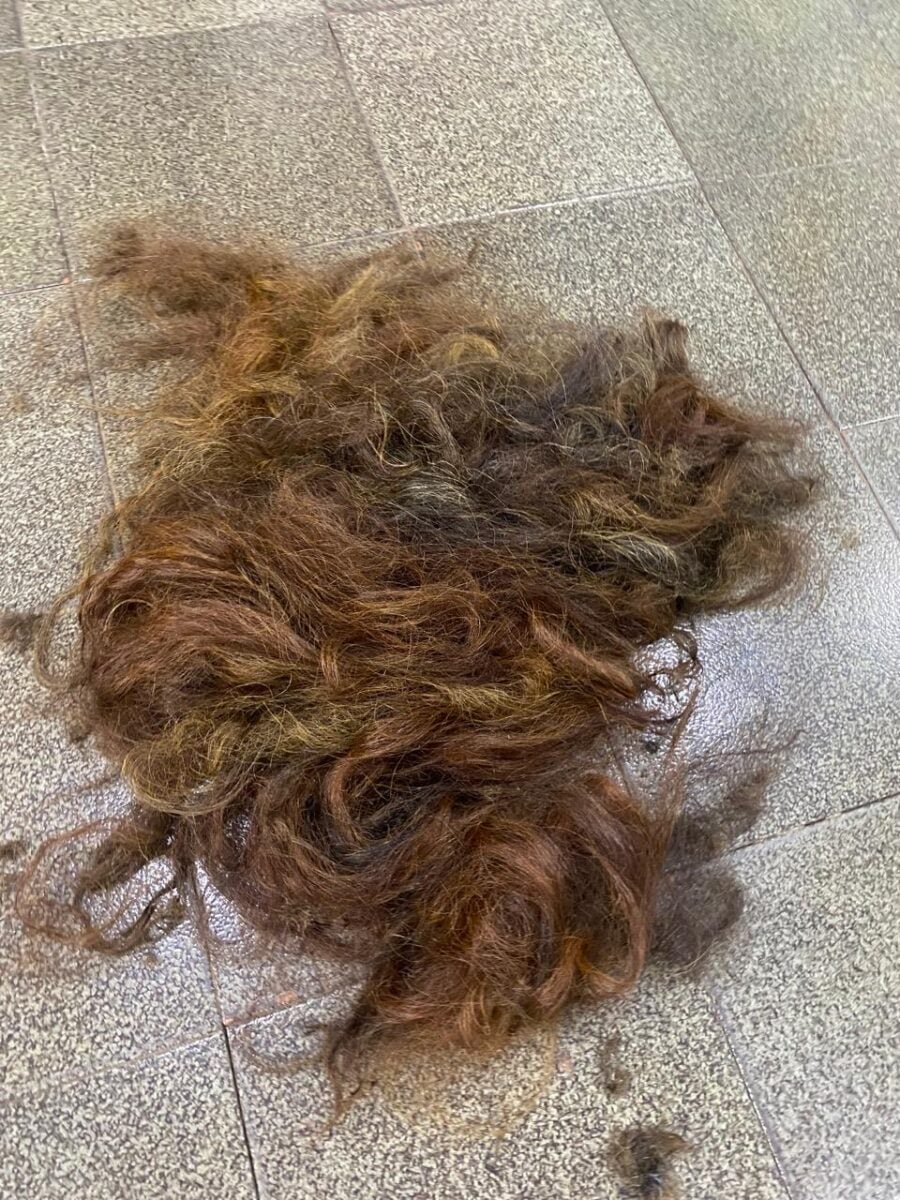 Atendimento é feito com extremo cuidado