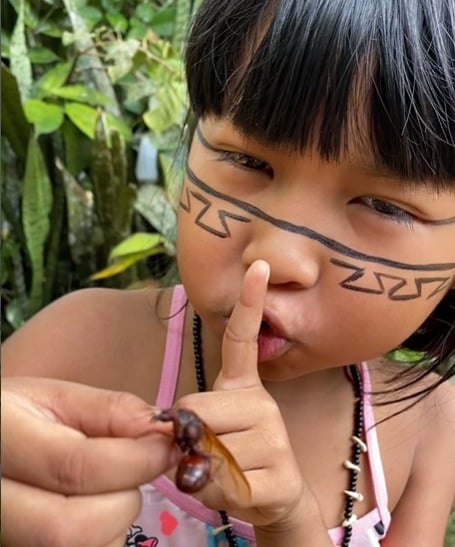 “É uma delícia”, diz pequena ao ensinar como comer tanajura em vídeo