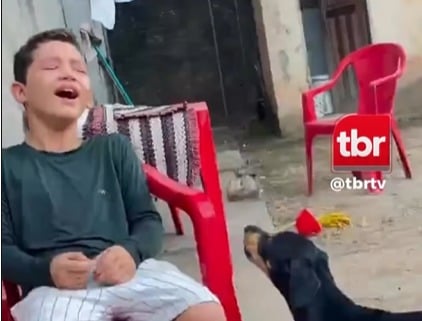 Criança fica de castigo e cachorro “chora” ao lado