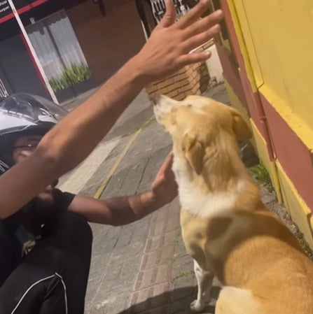 Funcionários explicam novo endereço a “cliente fiel”