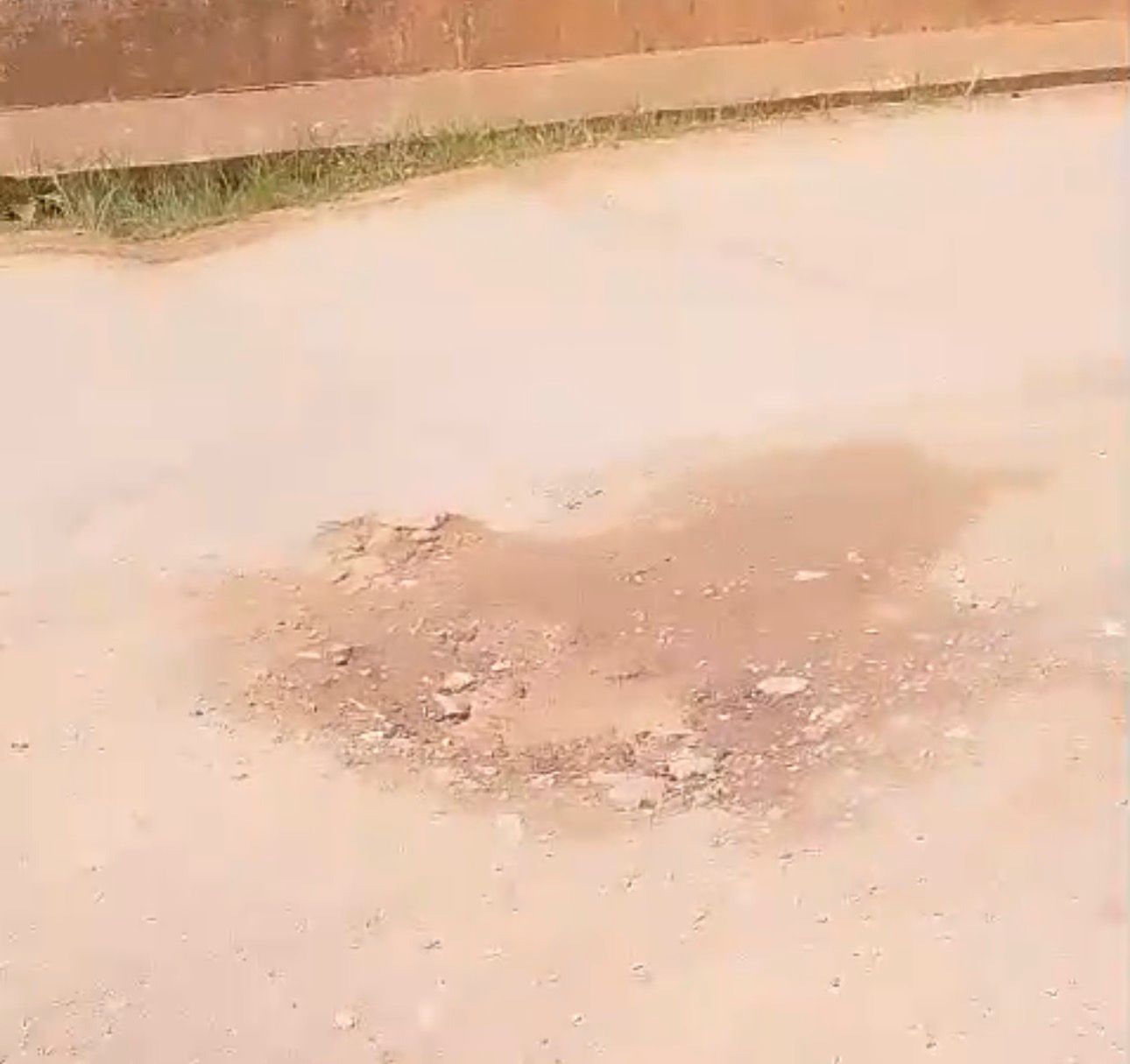 O problema se intensifica devido ao fluxo constante de veículos e à ausência de sinalização de alerta no local