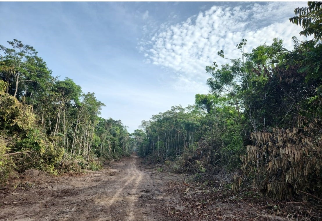 Representantes municipais, estaduais e técnicos discutiram medidas para acelerar o projeto e minimizar os problemas atuais