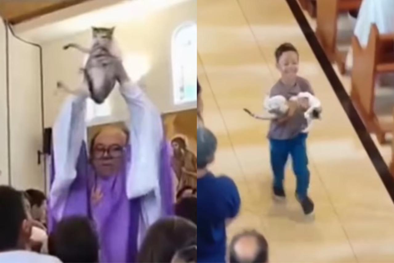 “Abençoa esse gato?”: pedido de criança diverte fiéis durante missa
