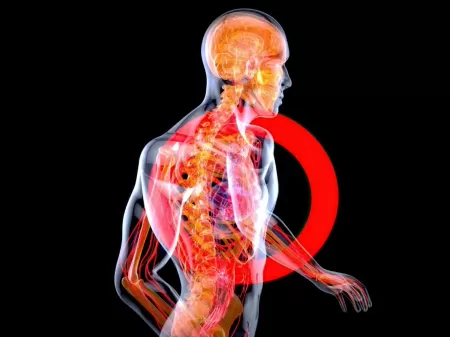 Cientistas identificam “interruptor” do corpo capaz de desligar inflamações