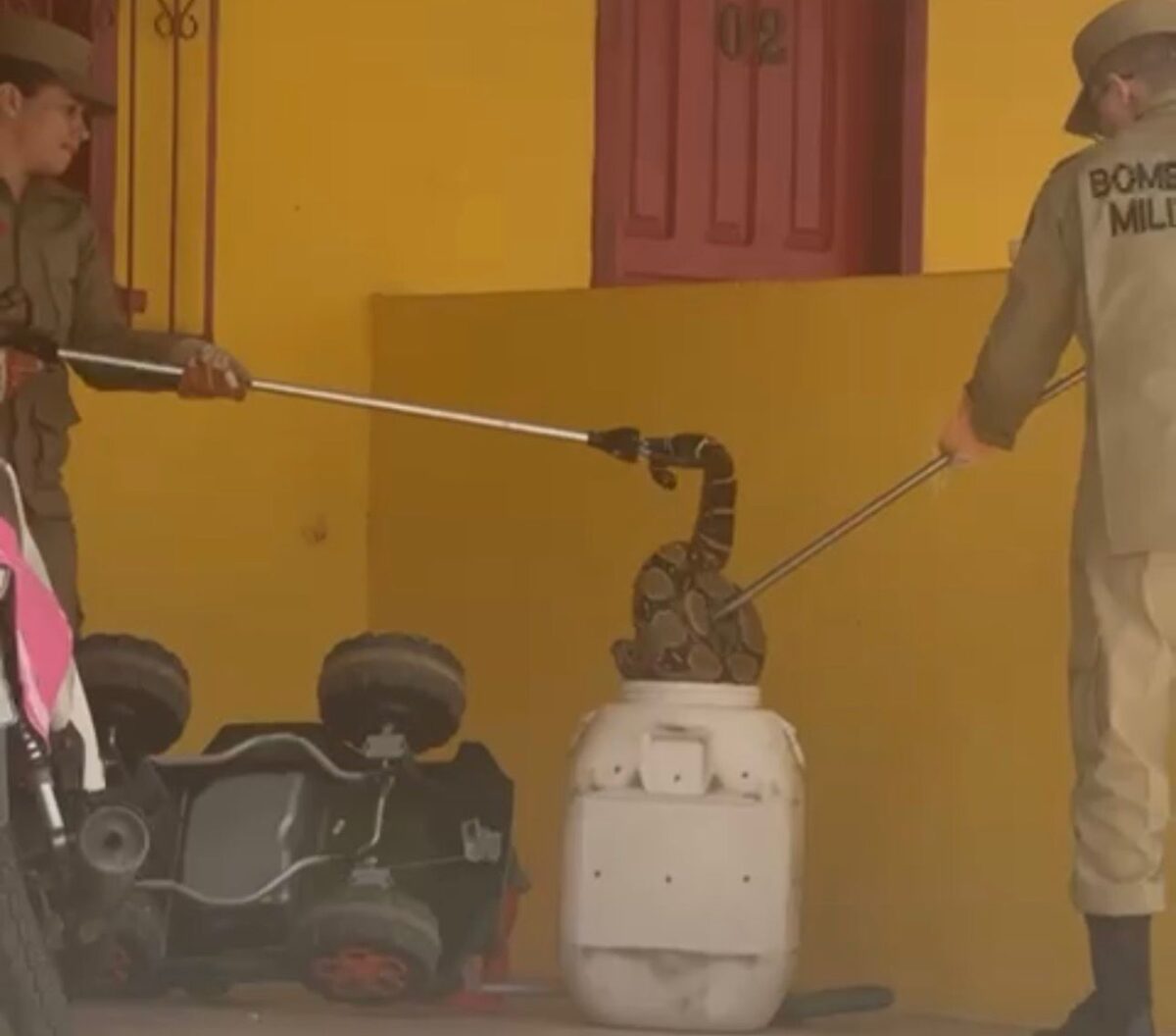 Bombeiros capturam jiboia de quase 3 metros dentro de apartamentos no interior do Acre