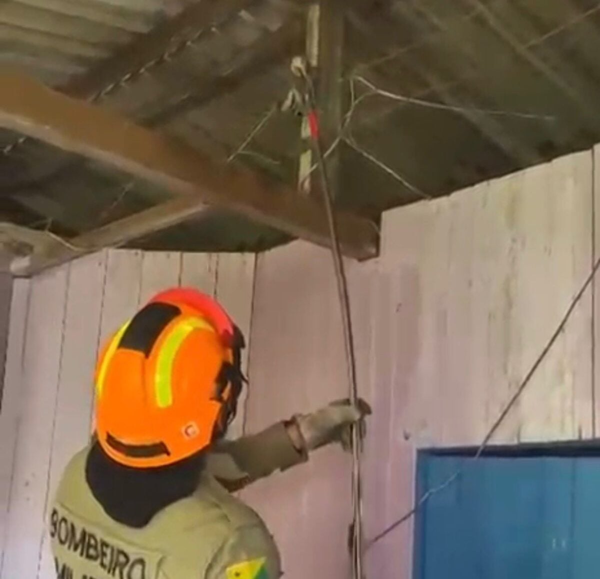 Bombeiros capturam jiboia dentro de residência
