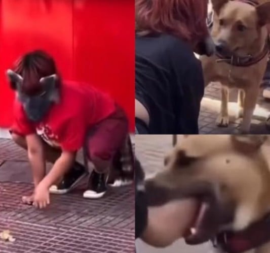 Jovem que se identifica como cachorra é mordida por cachorro em praça