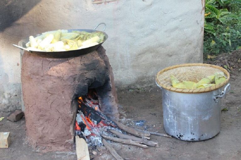Mais de 15% dos acreanos ainda cozinham com lenha ou carvão, aponta levantamento nacional
