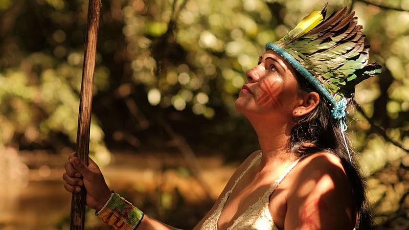 A área reconhecida está situada entre os municípios de Mâncio Lima e Rodrigues Alves, no Acre, e abrange cerca de 65 mil hectares | Crédito: Alexandre Cruz Noronha/Amazônia Real