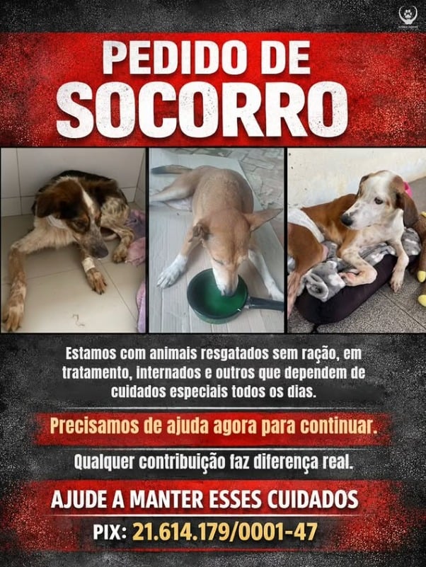 A conta do tratamento já ultrapassa R$ 12 mil e continua aumentando