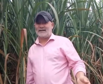 Produtor afirma que animais podem ser moídos junto com a cana durante fabricação do açúcar