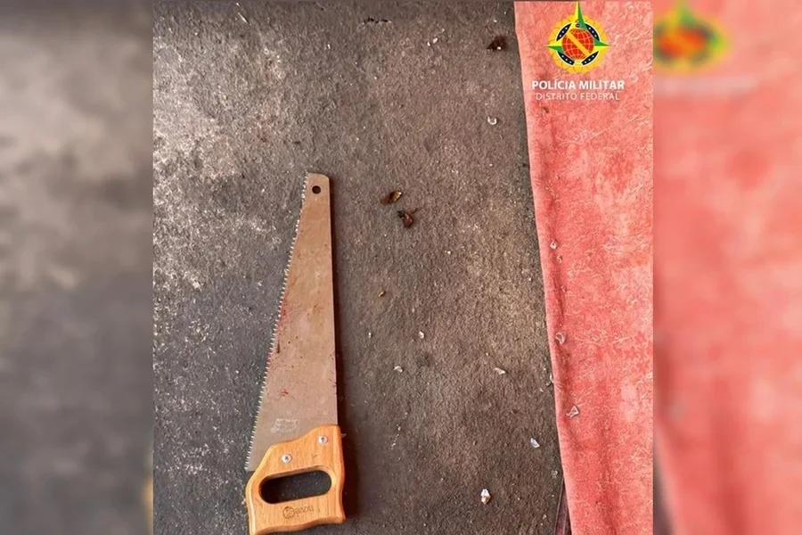 Homem tenta matar a própria mãe com serrote e acaba preso