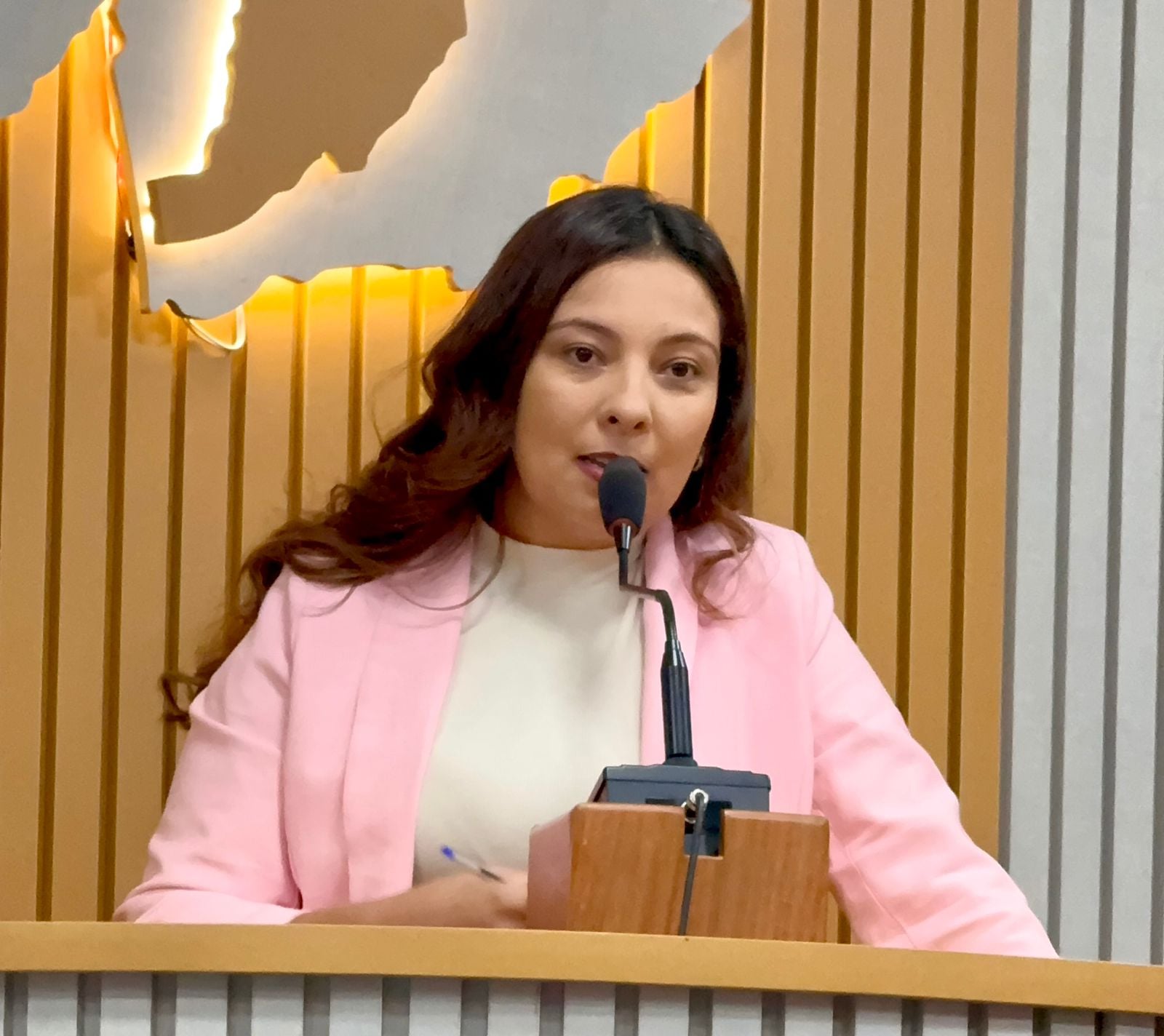 Vereadora Lays Mayra (PSD)