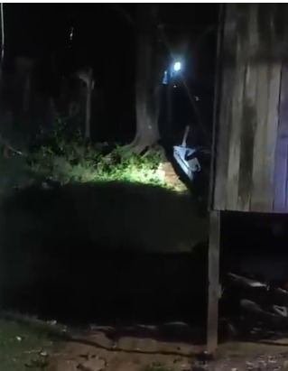 Durante os trabalhos periciais, foi constatado um ferimento profundo na lateral esquerda do pescoço da vítima