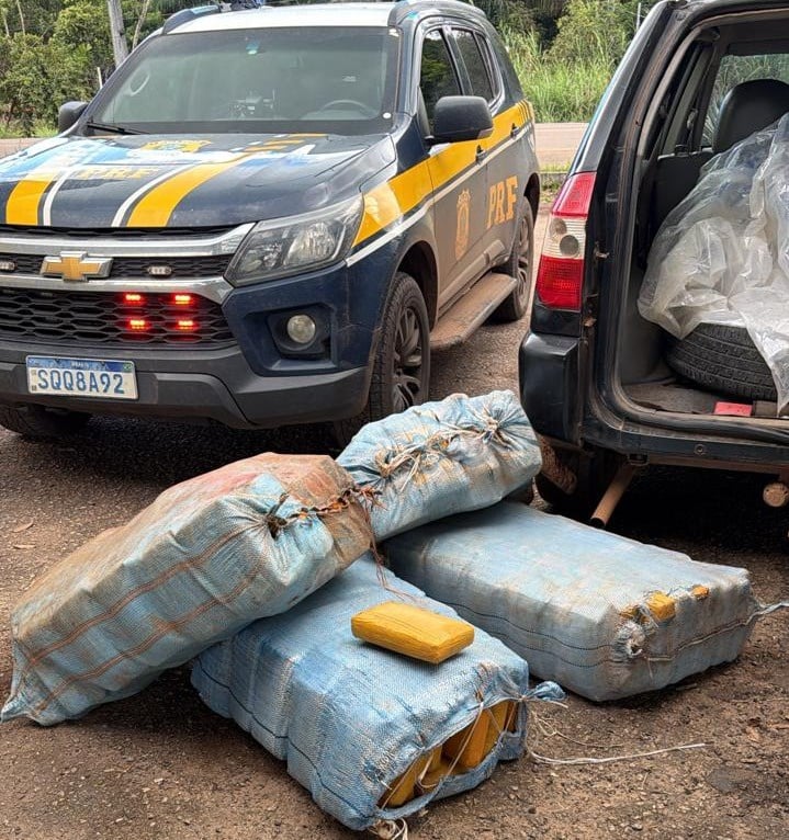 PRF e Polícia Civil apreendem 230 kg de skunk na BR-364