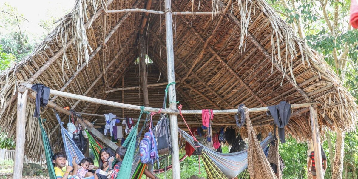 povo parakana,-do-para, reocupa territorio-apos-retirada-de-invasores 